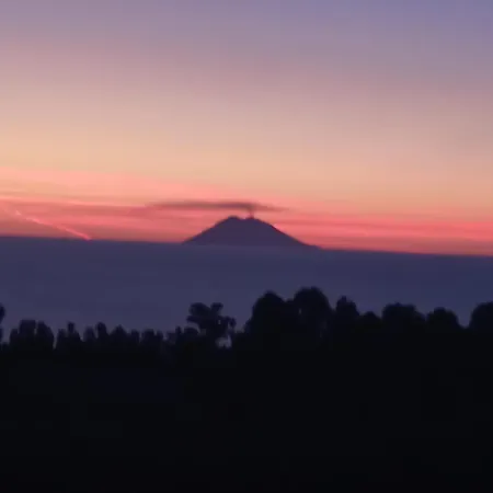 Vacanze La Sena * טרופאה