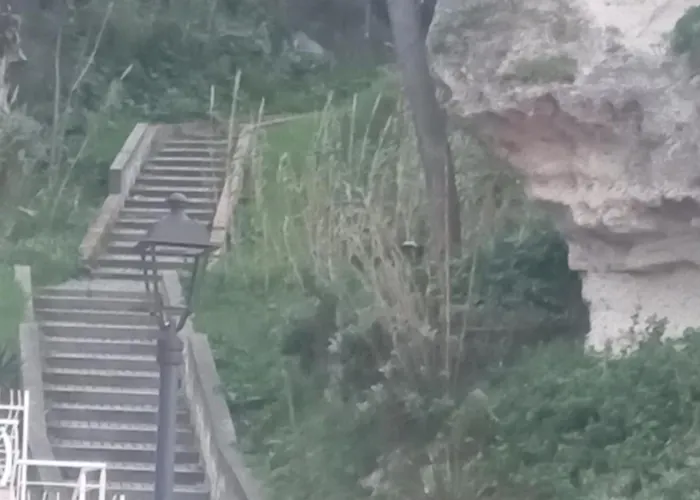 Vacanze La Sena טרופאה